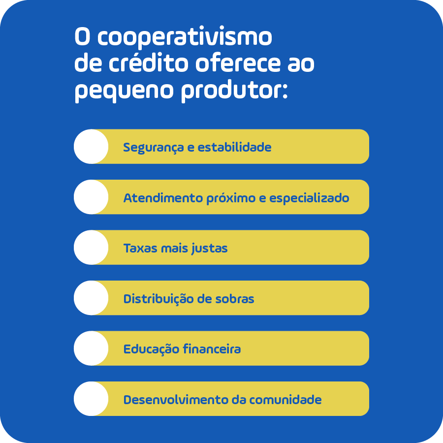 Imagem de apoio descreve os benef�cios do cooperativismo de cr�dito para o pequeno agricultor, por meio dos servi�os oferecidos pela Credicoopavel.